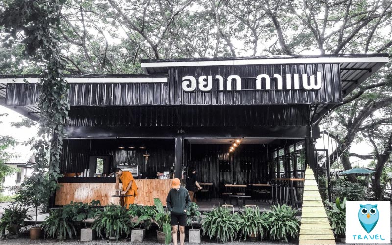 Need-Cafe-Chiang-Mai
