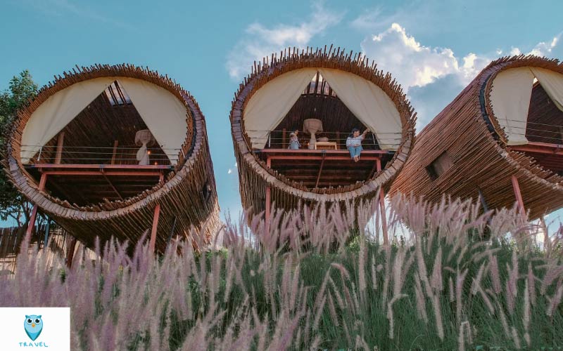 The doi Moncham เชียงใหม่