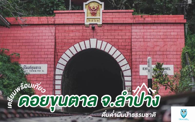 ท่องเที่ยว เตรียมพร้อมเที่ยวดอยขุนตาล จ.ลำปาง ดื่มด่ำผืนป่าธรรมชาติ