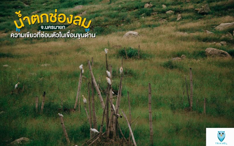 น้ำตกช่องลม ความเขียวที่ซ่อนตัวในเขื่อนขุนด่าน