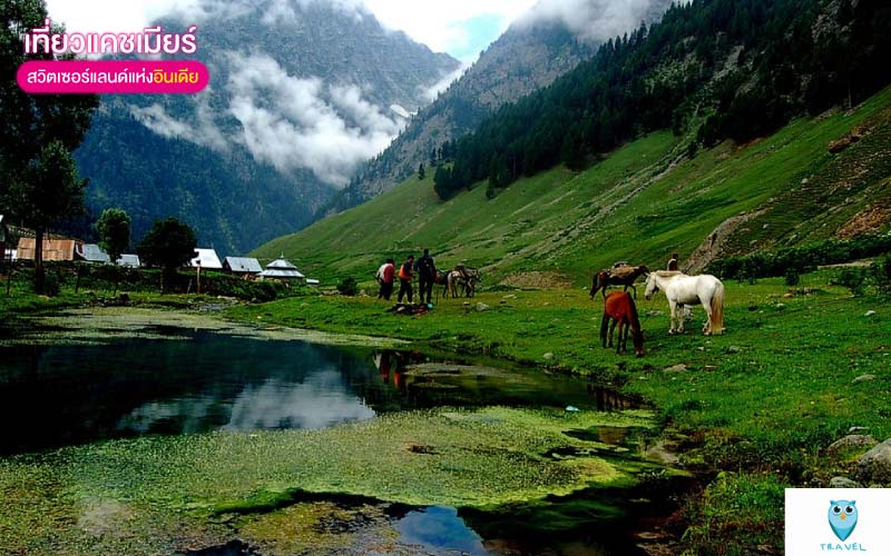 โซนามาร์ค (Sonamarg)
