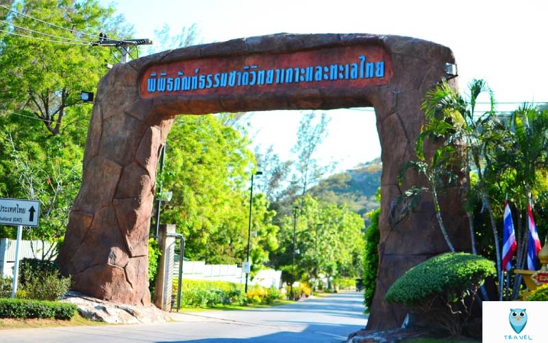 พิพิธภัณฑ์ธรรมชาติวิทยาเกาะและทะเลไทย แสมสาร