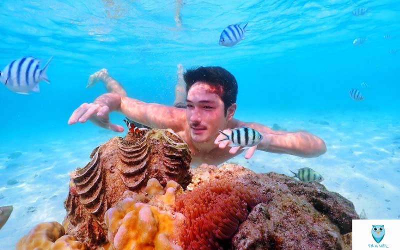 เที่ยวแสมสาร ดำน้ำดูปลา ตื่นตาโลกใต้ทะเล