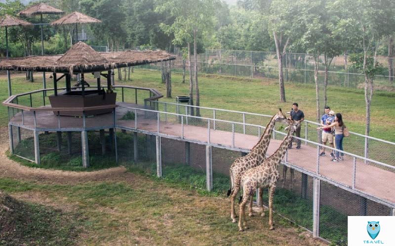 สวนผึ้งไฮแลนด์