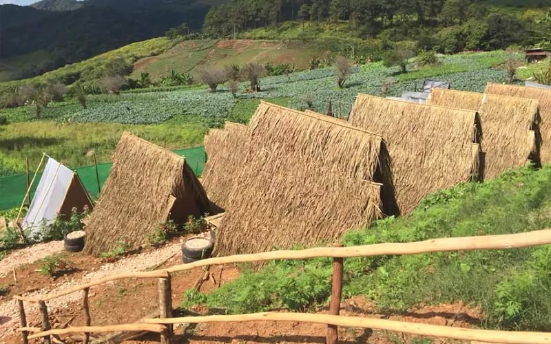 Buatong Valley 