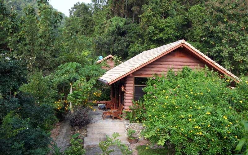 Punjen Hide-Away Lt.