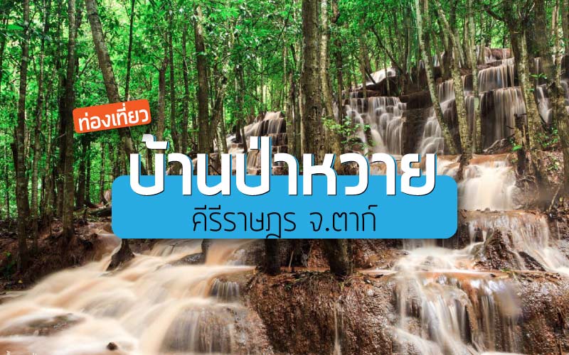 ท่องเที่ยว บ้านป่าหวายคีรีราษฎร์ จ.ตาก