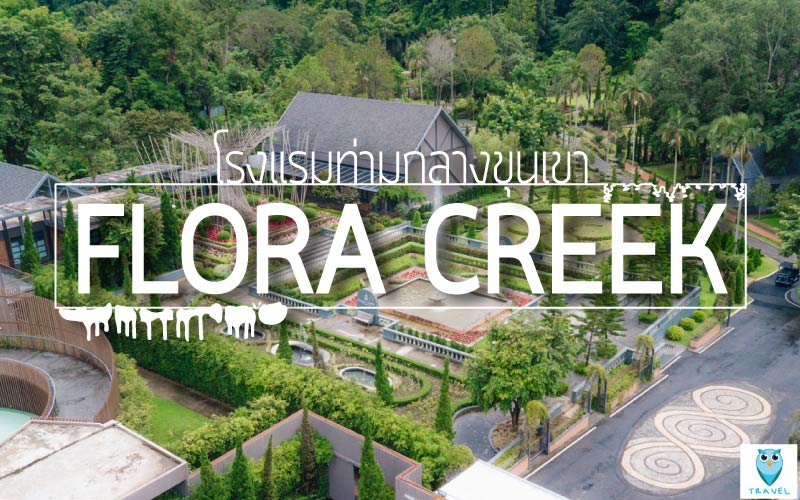 พักผ่อนในวันสบายๆที่-Flora-Creek-โรงแรมท่ามกลางขุนเขา