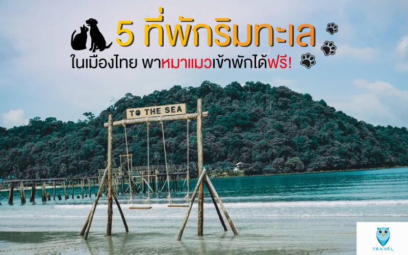 5 ที่พักริมทะเล ในเมืองไทย พาหมาแมวเข้าพักได้ฟรี