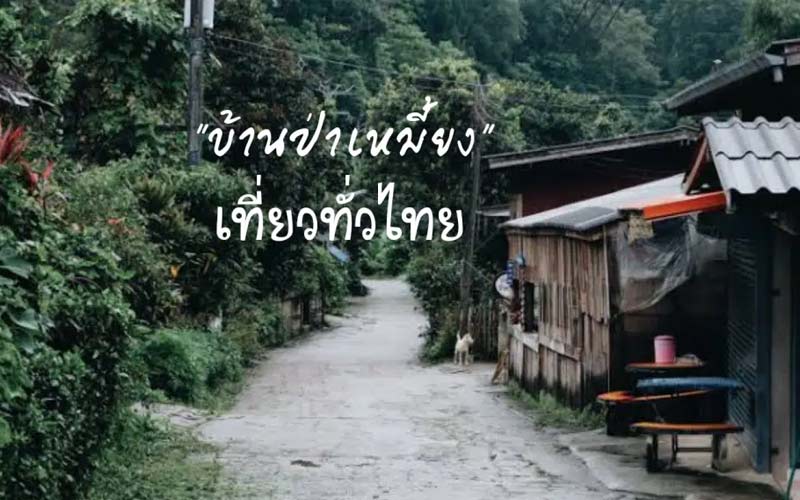 บ้านป่าเหมี้ยง จังหวัดลำปาง