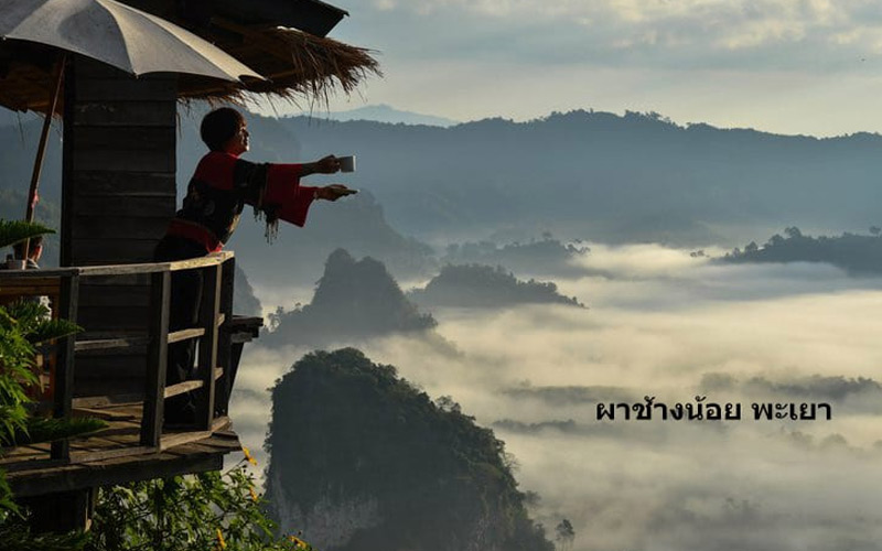 ผาช้างน้อย พะเยา