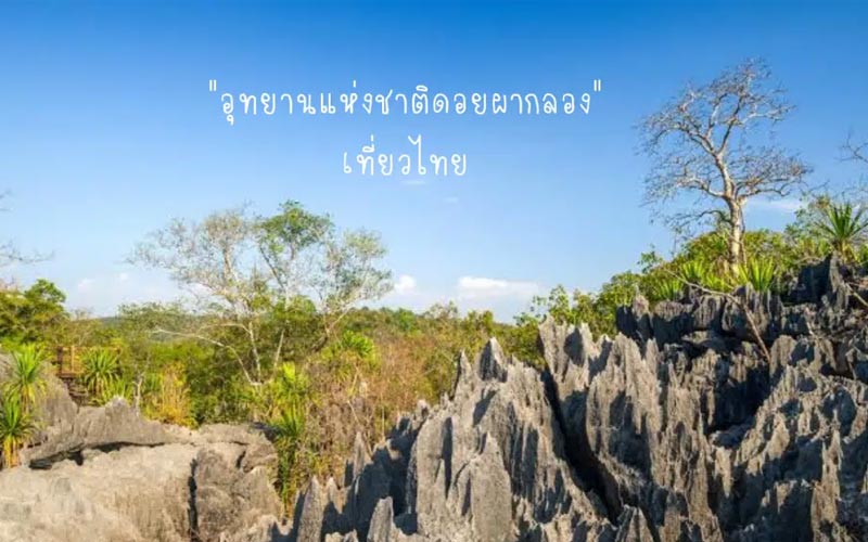 อุทยานแห่งชาติดอยผากลอง จังหวัดแพร่