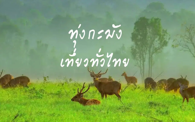 ทุ่งกะมัง จังหวัดชัยภูมิ