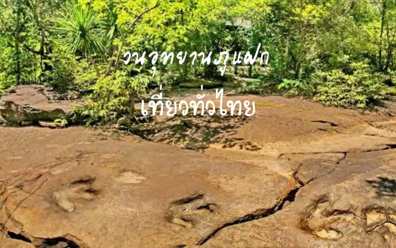 วนอุทยานภูแฝก จังหวัดกาฬสินธุ์